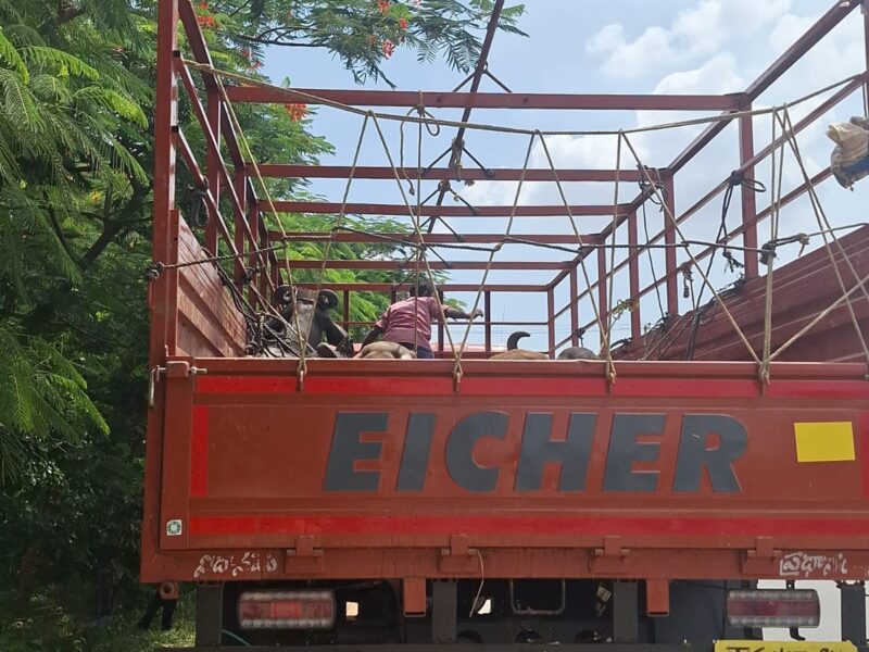 Eicher Truck For Transportation With Driver